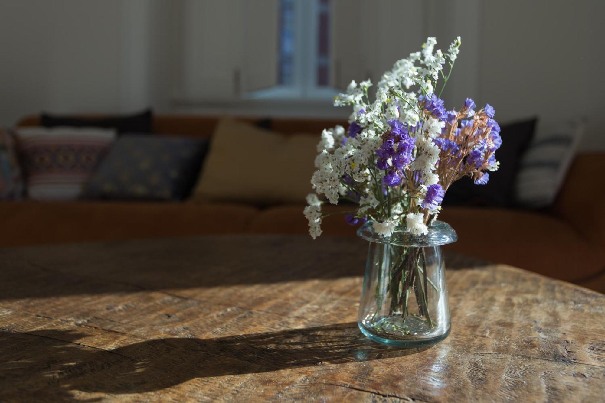Vila Julieta Guesthouse Coimbra Eksteriør billede